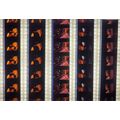 DRACULA. Pk MULTI AKF - A009i . - 5 STRIPS OF 5...