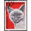 Bulgaria. 1989 13s S.G.3663 Used