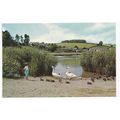 Slapton Ley Torcross Devon Postcard 2060