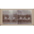 Fountains at Versailles, France, June 1931 - Vi...