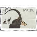 SOUTH WEST AFRICA, MAMMAL, Sable Antelope, grey...