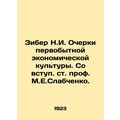 Ziber N.I. Essays on primitive economic culture...