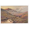 Great Mis Tor Dartmoor Devon Tucks Oilette A De...