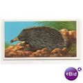 1985 (Sheen) Brooke Bond Tea card INCREDIBLE CR...