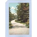 New Jersey Trenton Drive In Cadwalader Park~1356