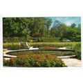 The Rose Garden Stanley Park Blackpool Postcard...