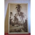 DANS L'OASIS vintage unused antique postcard. d...