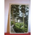 A WOOD, UPPER BANGOR, CAERNARFONSHIRE used anti...