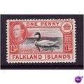 FALKLAND ISLANDS 1938 1d BLACK NECKED SWAN SG 1...