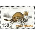 ROMANIA, MAMMAL, Stoat, Mustela erminea, white 1993, 150Lei