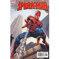 Amazing Spider-Man (Vol 2) # 520 NM MODERN AGE ...