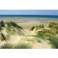 XCL 13: Littoral: Sand Dunes