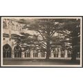 Salisbury Cathedral, Wiltshire, c.1940s - RP Po...
