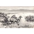 ZEBRA 1898 Edmund Caldwell ANTIQUE ENGRAVING
