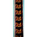 Pk DAU - KIDS - MIX - a004D . 1 STRIP OF 5 - 35...