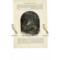 Loseley Park, Surrey, England, Book Illustratio...