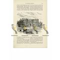 St Osyth's Priory, Essex, England, Book Illustr...
