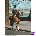 London - Mounted Policeman on Embankment 1973 p...