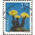 NORWAY, FLOWER, Coltsfoot, Tussilago farfara, b...