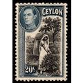 Ceylon 1938 Picking Tea 20c Used. Stamp King Ge...