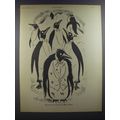 1964 Moss Bros Fashion Ad - illustration by Anton (Antonia Yeoman) - Surely