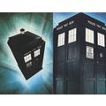 Dr Who Tardis Taking Take Off 2x Painting Postc...