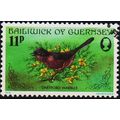 Guernsey. 1978 11p S.G.171 Used