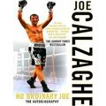 No Ordinary Joe