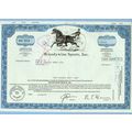 DE na Stock Certificate Company: Brandywine Spo...