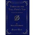 Through the Tall Pine's Top: A Vision of the Ol...