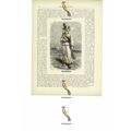 Girl Of Bokhara (Bukhara), Uzbekistan, Book Ill...