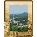 Gatlinburg Tennessee with Falls and Bear Laser ...