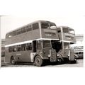 Black & White Photograph of Northern General Tr...
