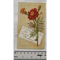 Vintage: birthday card - marigolds - Marcus War...