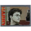 Harry Potter And The Deathly Hallows FOIL BOX T...