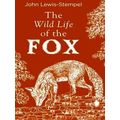 The Wild Life Of The Fox