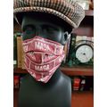 Cloth Face Mask w/ Silver/Copper Filters. Maga ...