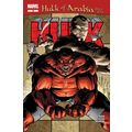 Hulk (Red) # 046 NM MODERN AGE COMICS
