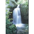 Bentley Brook, Lumsdale, Matlock, Derbyshire