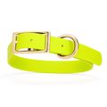 Dog Pet Collar with Brass Hardware Size L W 1” ...