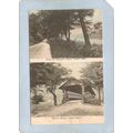MA Hoosic Tunnel Covered Bridge Postcard Along ...