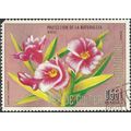 EQUATORIAL GUINEA, FLOWER, Nerium oleander, pink 1976, 0.55pta