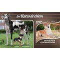 CENTRAL AFRICA 2015 SHEET MNH DOGS BREED RACES ...