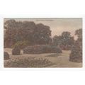 The Park Droitwich Postcard Worcestershire