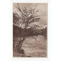 River Dee Llangollen Postcard Judges 3216