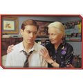 Merlin's Spider-Man (2002) Sticker Collection -...