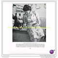 SHIP'S KITTENS ENJOY ROYAL FAVOUR, Book Illustr...