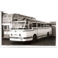 Black & White Photograph of Ribble Motor Servic...