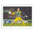 TC0027 - England Goalkeeper - Tim Flowers - pos...