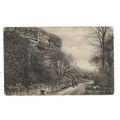 Niton Undercliff, Isle Of Wight, Postcard.